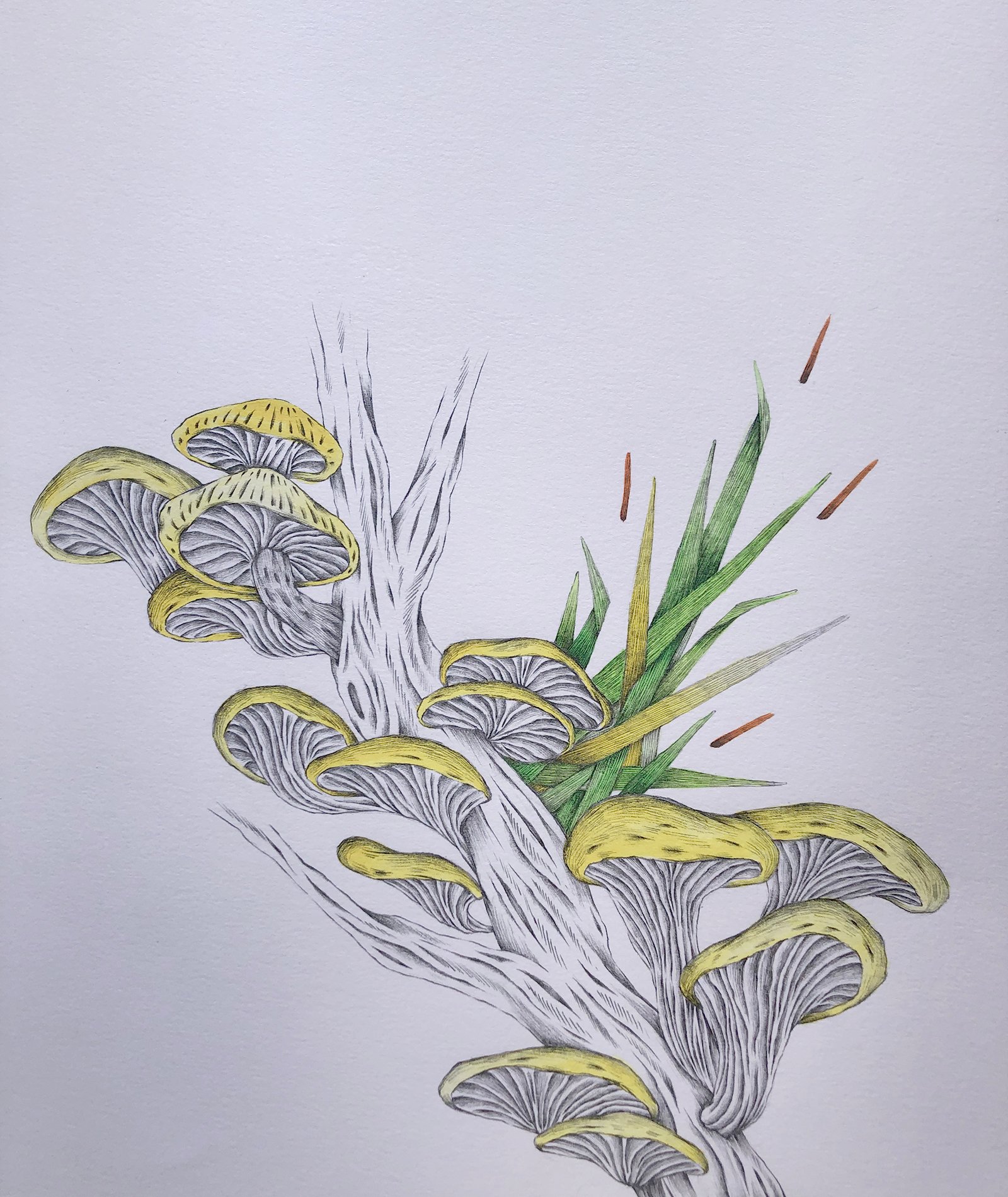 Angie Jerez artwork