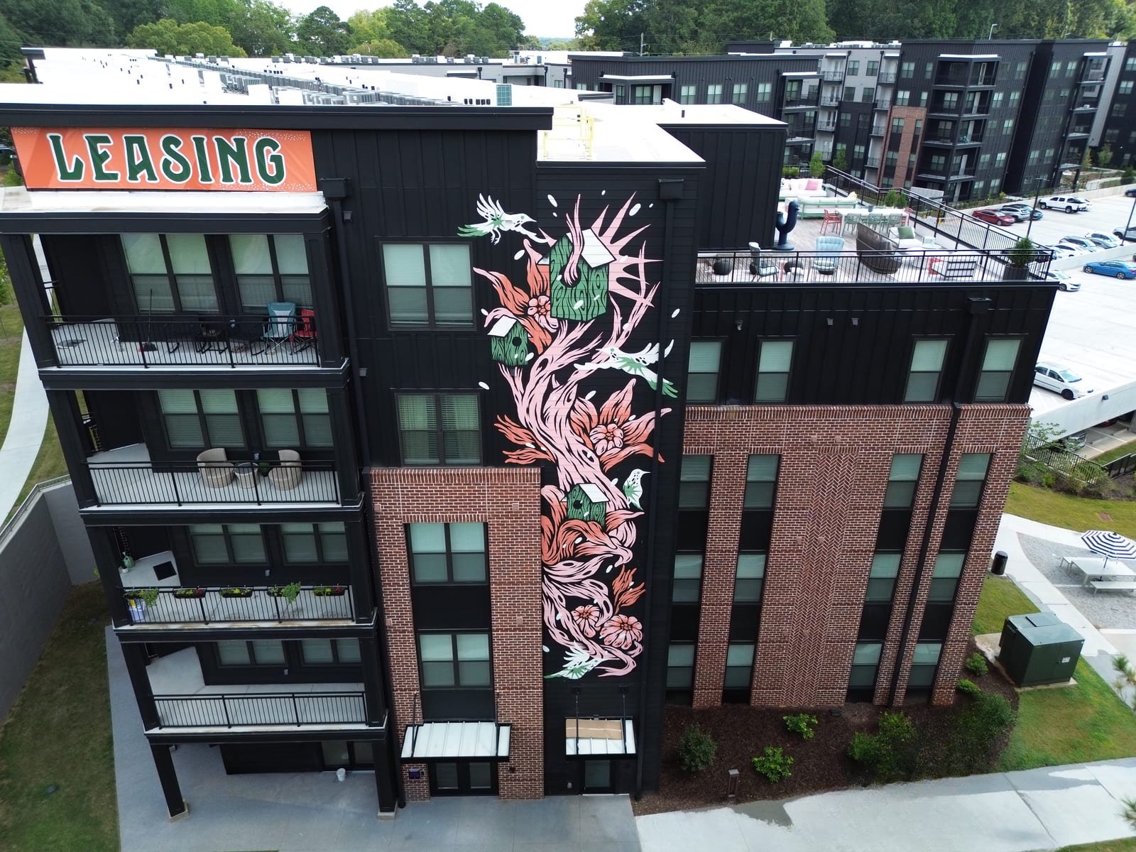 nesting birds, Doraville, GA, 2025