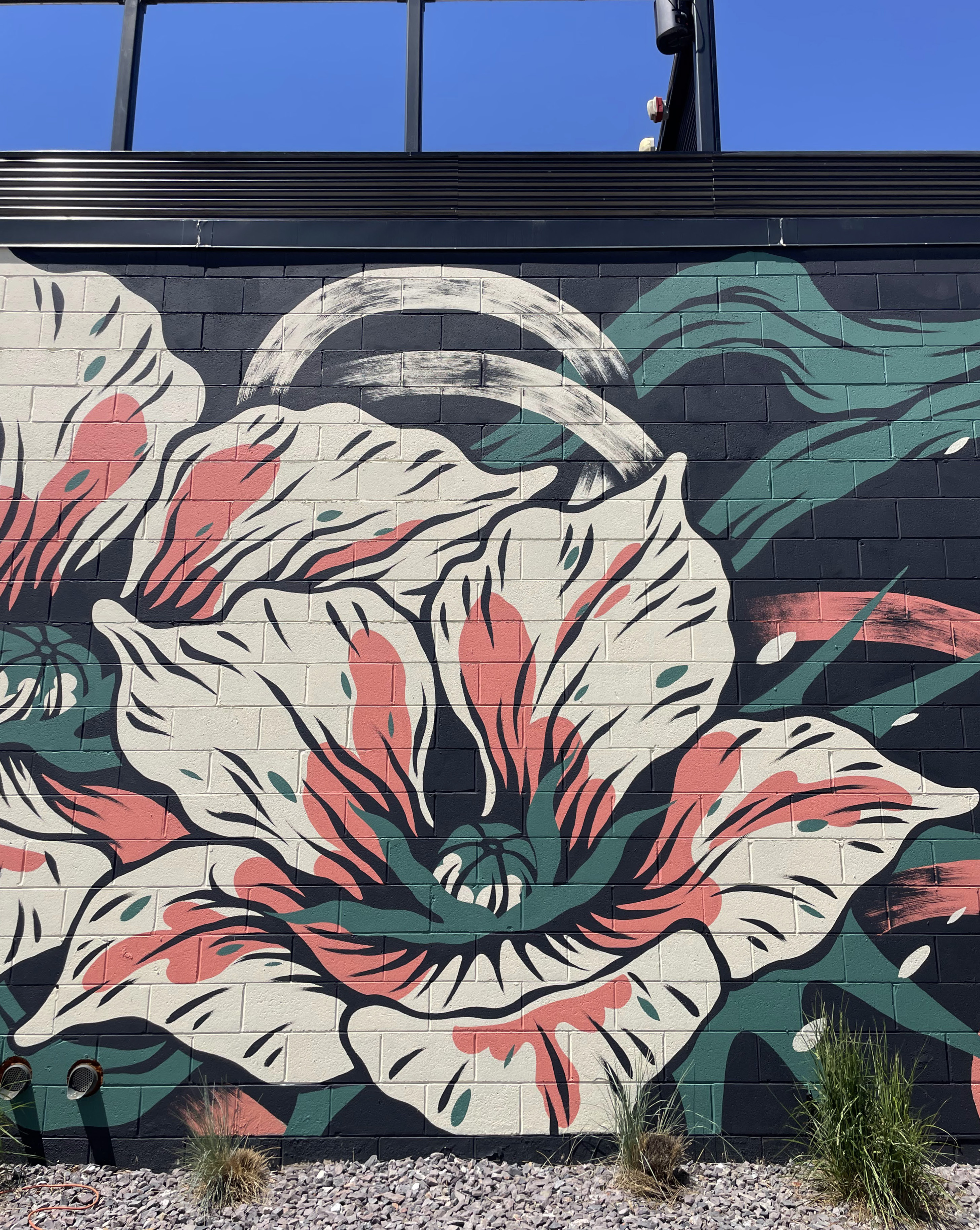 growth stages, South Salt Lake City, UT, 2025