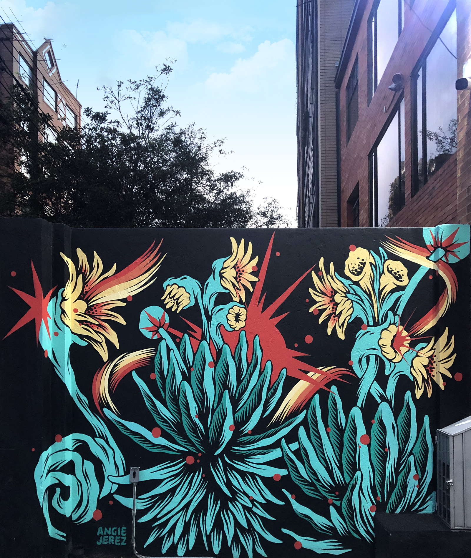 A message through the Frailejon, Bogotá, Colombia, 2023